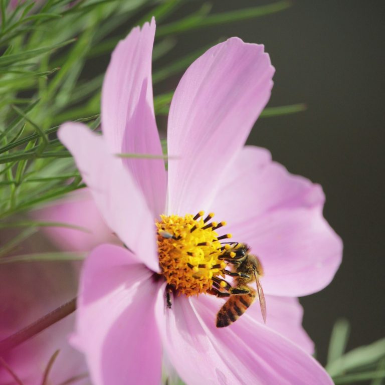 damien-dufour-yJj8GW0HHWc-unsplash